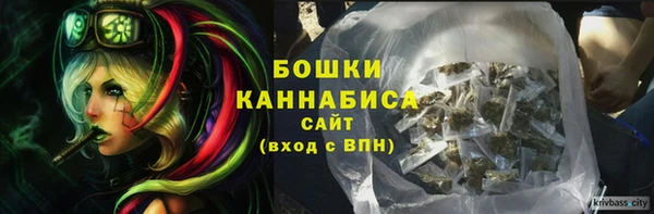прущие грибы Нея