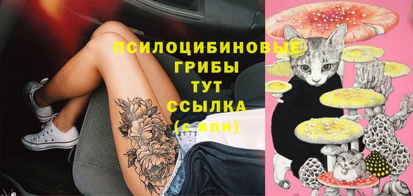 гидропоника Абинск