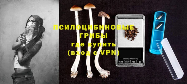 индика Абдулино